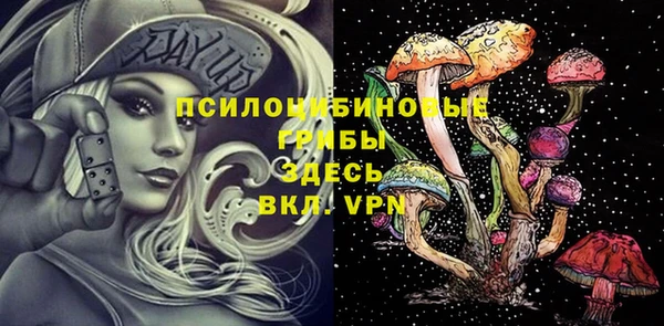 ECSTASY Киреевск
