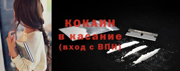 шишки Касимов