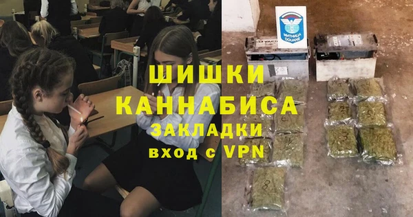 шишки Касимов
