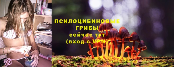 шишки Касимов