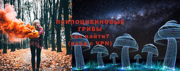 прущая мука Карпинск