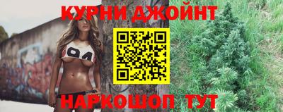 дживик Моздок