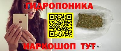 гидропоника Можайск