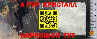 дживик Моздок
