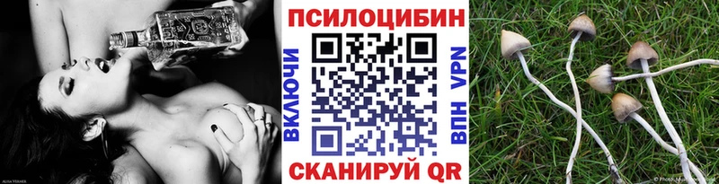 Галлюциногенные грибы Magic Shrooms  магазин  наркотиков  Сегежа 