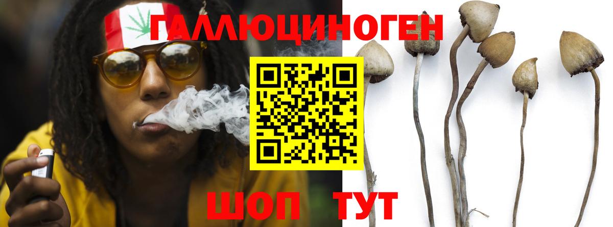 Галлюциногенные грибы мухоморы Сегежа