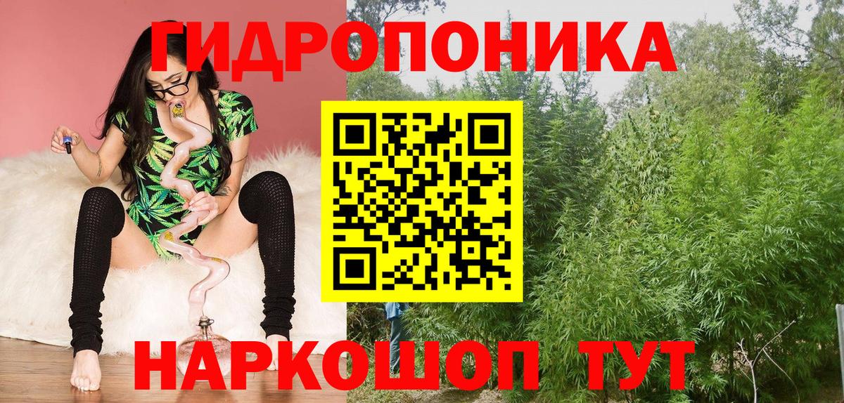 МАРИХУАНА Amnesia Сегежа